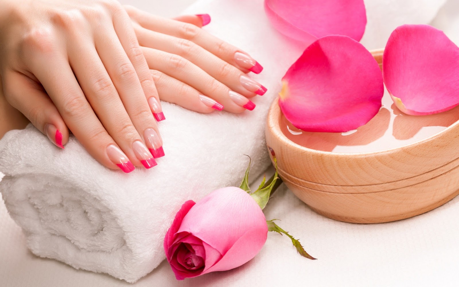 SC Nail Bar logo